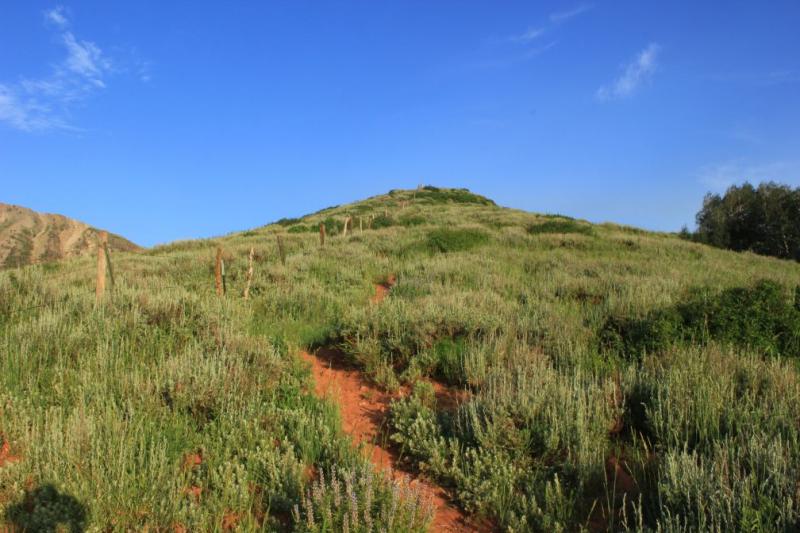 Name:  Mt. Nebo trail beginning (small).jpg
Views: 646
Size:  68.6 KB