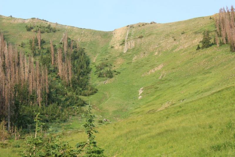 Name:  Mt. Nebo trail goes up through drainage (small).jpg
Views: 694
Size:  69.4 KB