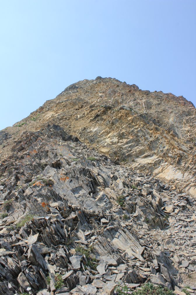 Name:  Mt. Nebo upper trail (small).jpg
Views: 615
Size:  197.7 KB