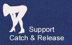 Name:  catch_release..jpg
Views: 162
Size:  9.3 KB