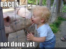 Name:  kid and pig.jpg
Views: 957
Size:  10.6 KB