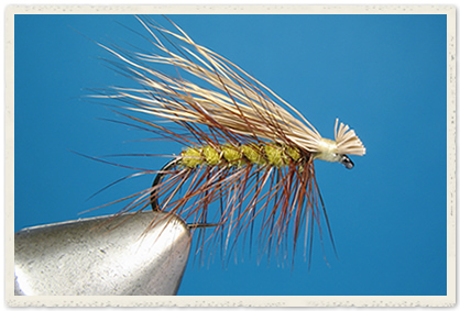 Name:  elk-hair-caddis..jpg
Views: 705
Size:  82.4 KB