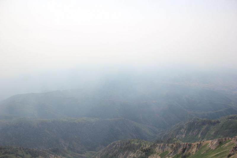 Name:  Smoke-filled upper Sanpete area (small).jpg
Views: 615
Size:  22.2 KB