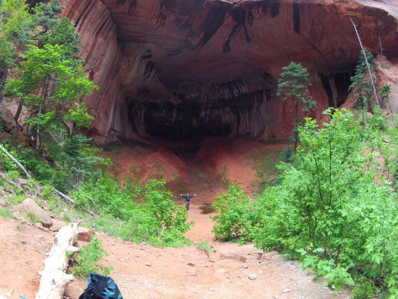 Name:  Kolob-Alcove.jpg
Views: 456
Size:  102.8 KB