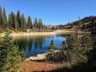 Name:  REd Pine Lake.jpg
Views: 655
Size:  20.2 KB