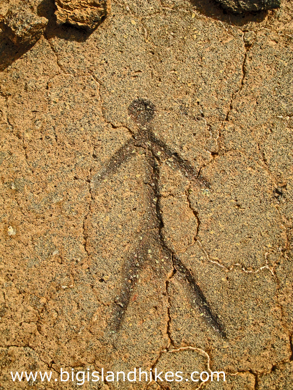 Name:  kohala_puako_malama_petroglyph_man.jpg
Views: 1100
Size:  906.3 KB