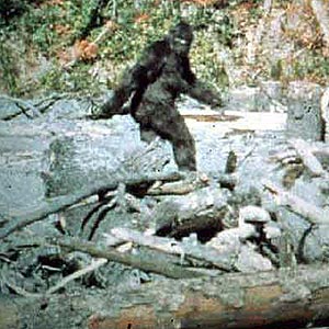 Name:  paterson-gimlin-footage-300x300.jpg
Views: 256
Size:  31.9 KB