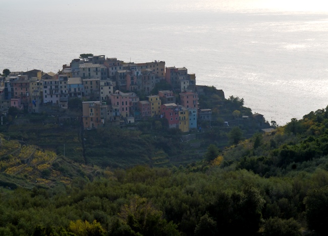 Name:  corniglia from ab.jpg
Views: 586
Size:  111.9 KB