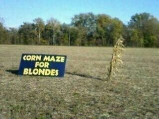 Name:  blonde corn maze..jpg
Views: 251
Size:  15.8 KB