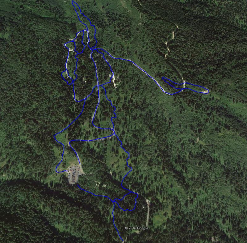 Name:  AF Grooming Track.jpg
Views: 271
Size:  129.4 KB