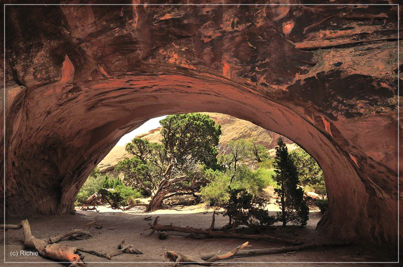 Name:  comp_05Arches..jpg
Views: 761
Size:  477.4 KB