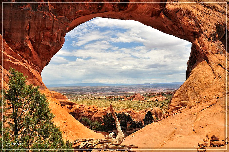 Name:  comp_07Arches..jpg
Views: 770
Size:  514.3 KB