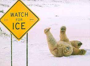 Name:  Sign-Ice Warning &#.jpg
Views: 893
Size:  9.3 KB