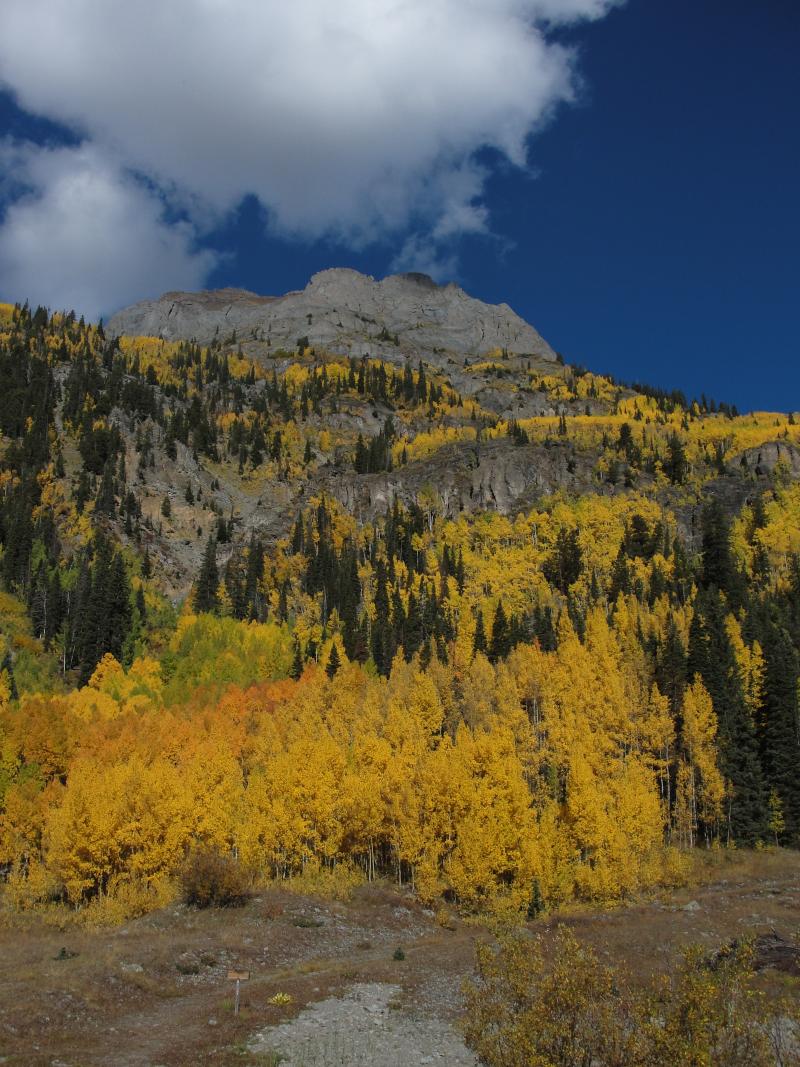 Name:  Utah Fall 2011 par.jpg
Views: 428
Size:  154.4 KB