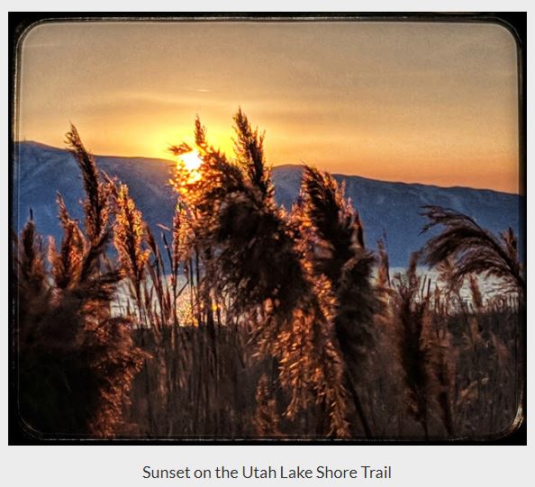 Name:  Utah_Lake_Shore_Trail_ShaunasAdventures.JPG
Views: 481
Size:  64.6 KB