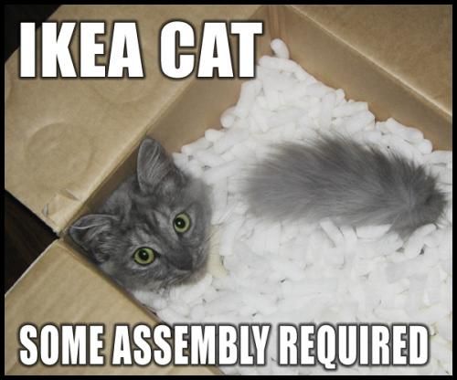 Name:  081227-ikea-cat-assembly.jpg
Views: 949
Size:  34.3 KB