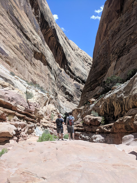 Name:  Ding_and_Dang_Slot_Canyon_ShaunasAdventures.jpg
Views: 2009
Size:  137.9 KB