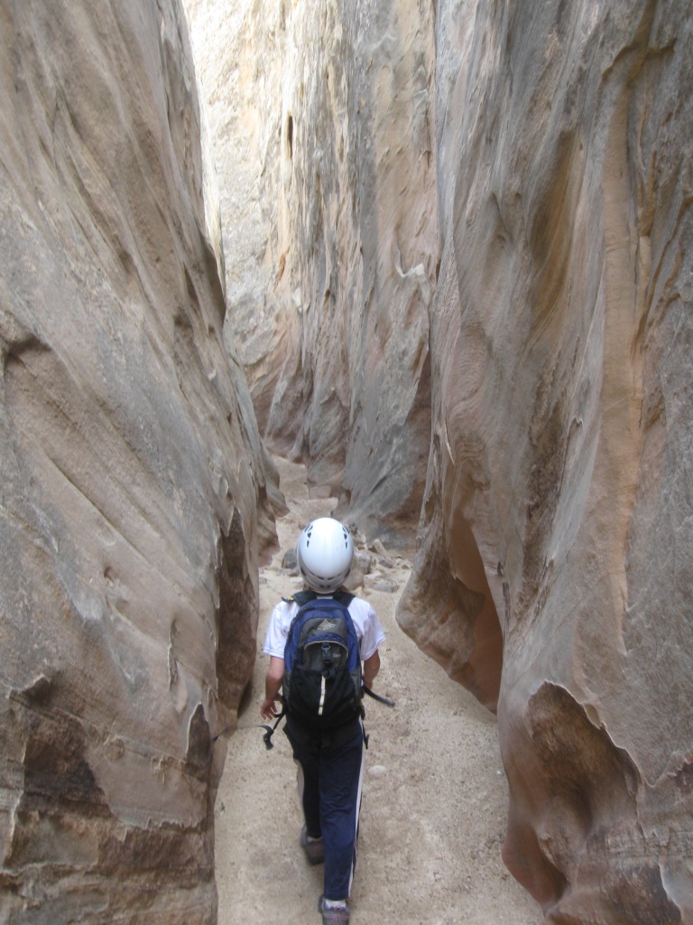 Name:  Capitol Reef 070.JPG
Views: 1018
Size:  238.7 KB