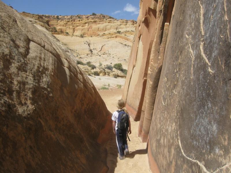 Name:  Capitol Reef 083.jpg
Views: 1048
Size:  73.2 KB