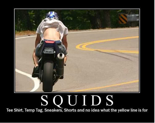 Name:  Squid.png
Views: 162
Size:  160.9 KB