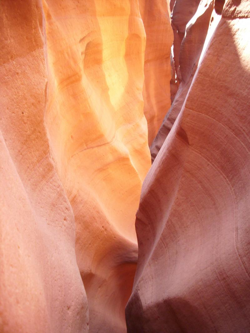 Name:  canyon color..jpg
Views: 460
Size:  83.1 KB