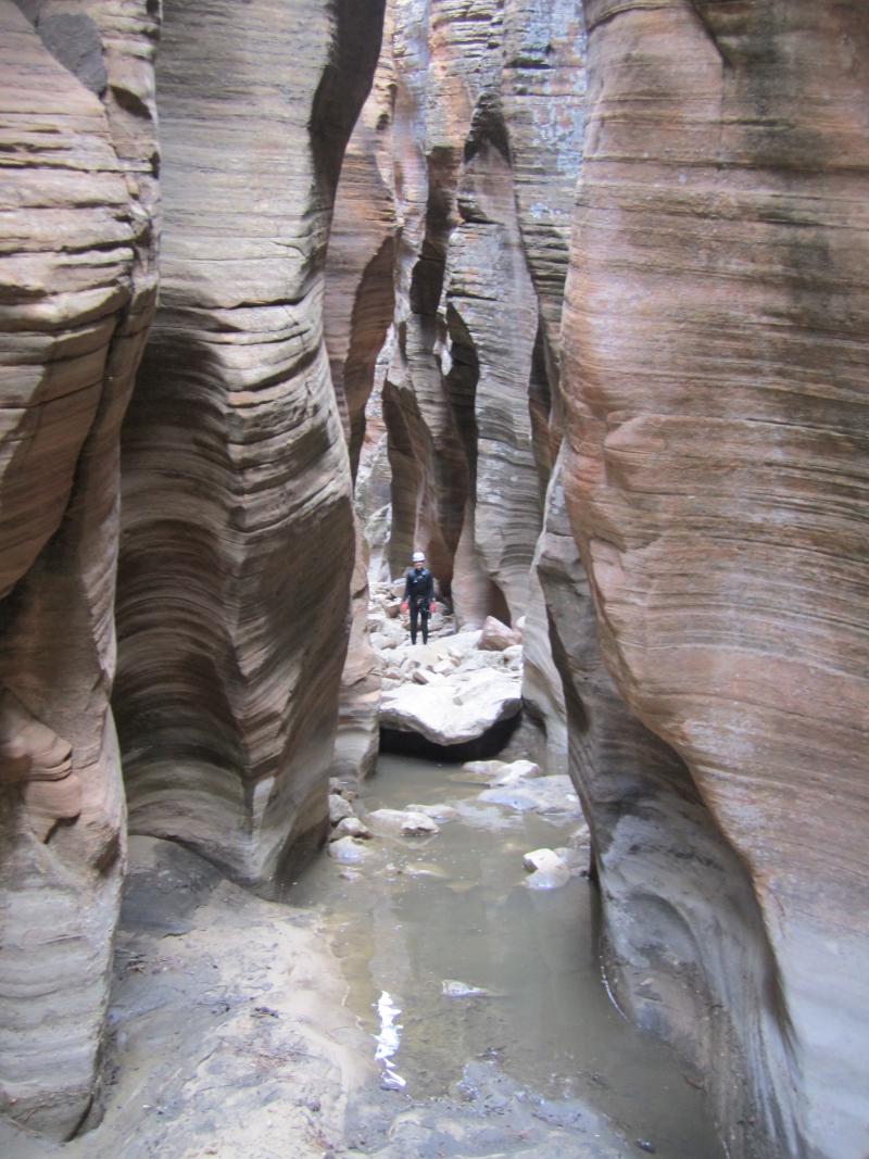 Name:  2012 Zion Bair Trip (266).jpg
Views: 278
Size:  123.3 KB