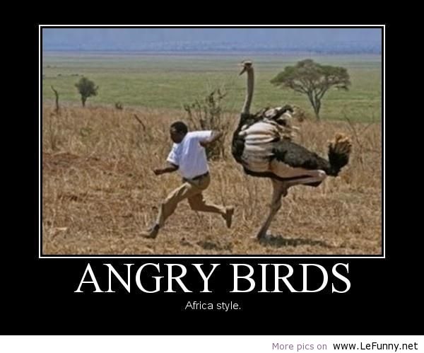 Name:  a.baa-Angry-Birds-Africa-style.jpg
Views: 806
Size:  41.5 KB