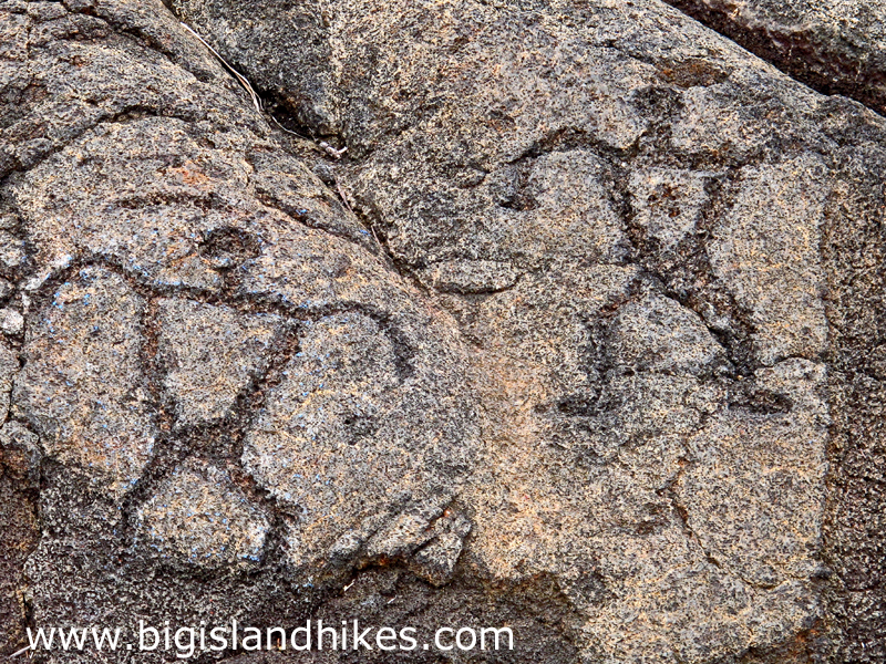 Name:  hawaii_volcanoes_national_park_puu_loa_petroglyph_field.jpg
Views: 6586
Size:  846.5 KB