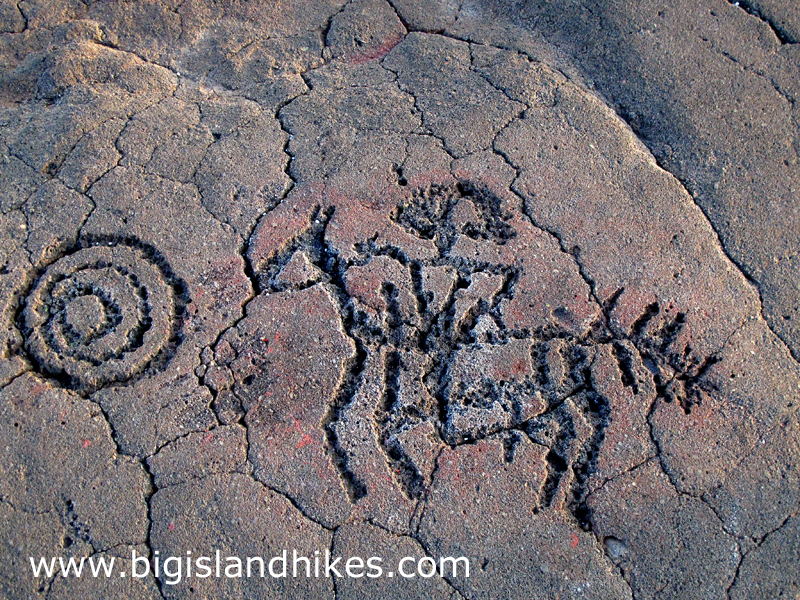 Name:  kohala_waikoloa_petroglyph_preserve_warrior_on_horseback.jpg
Views: 2495
Size:  834.8 KB