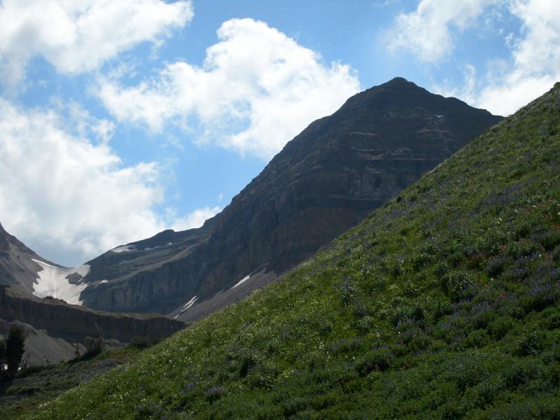 Name:  Mt Timpanogos..jpg
Views: 925
Size:  68.1 KB