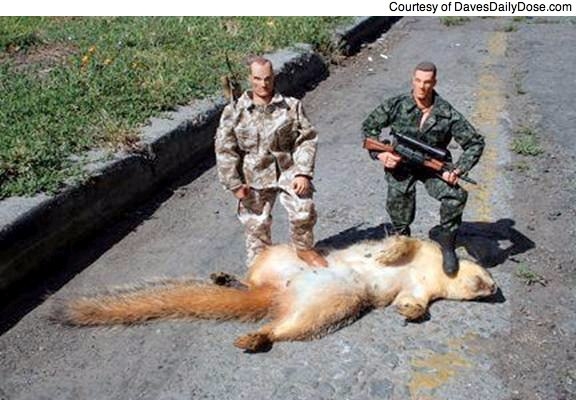 Name:  Squirrel Hunters&#4.jpg
Views: 986
Size:  136.7 KB