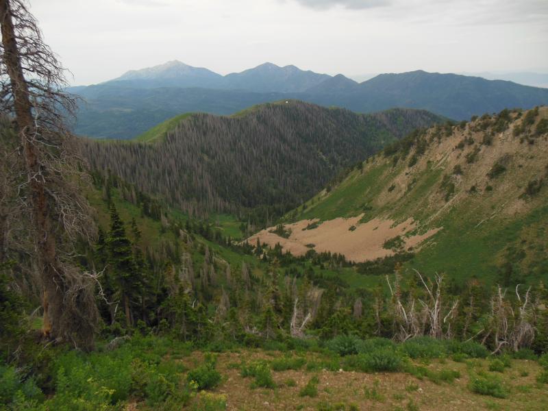 Name:  Santaquin Peak 7-4-2013 049.jpg
Views: 265
Size:  69.4 KB