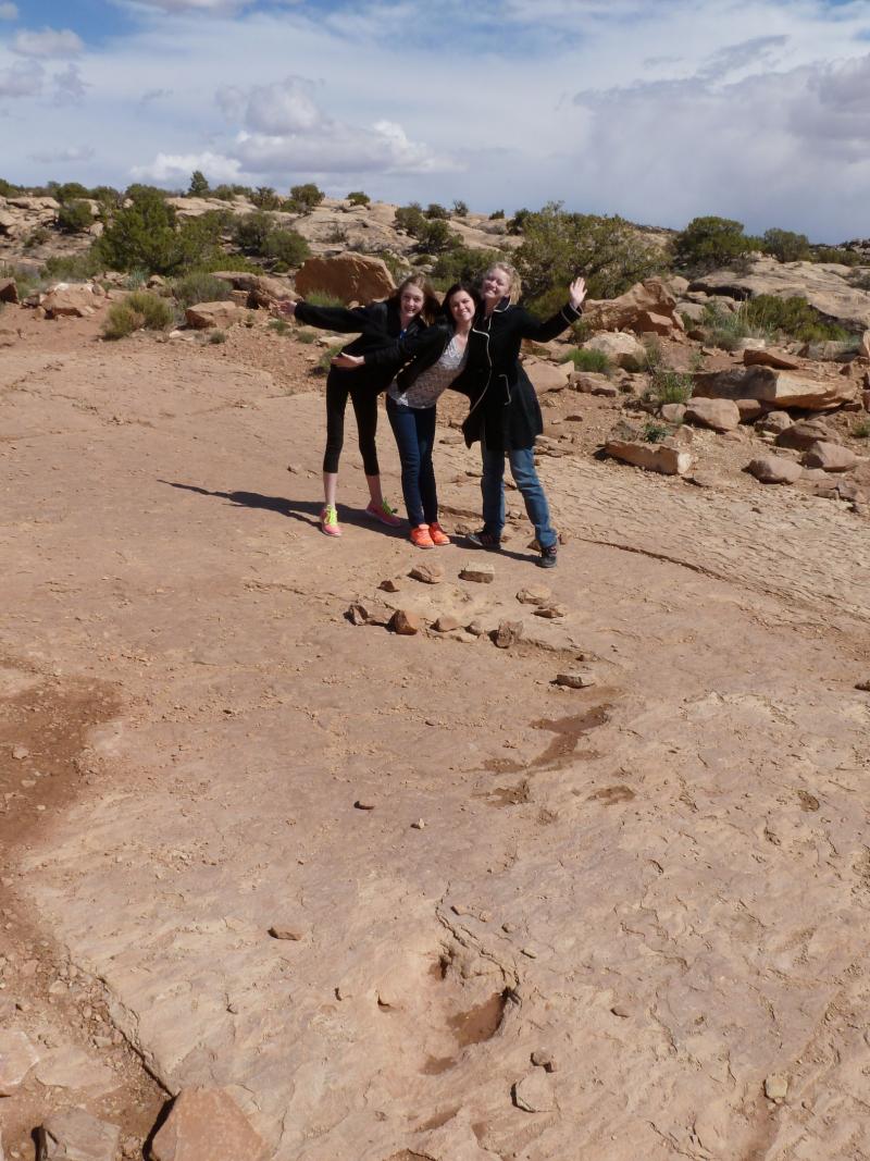 Name:  Sunday01 Copper Ridge Dino tracks.jpg
Views: 875
Size:  136.6 KB