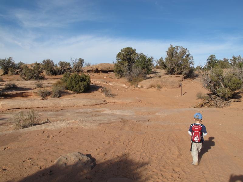 Name:  Moab-Nov2012_D1-DriveDown-JewelTibbettsArch_49.jpg
Views: 710
Size:  63.6 KB