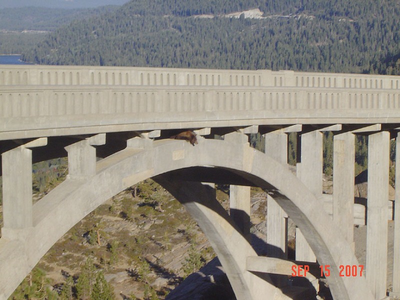 ATT00024.jpg