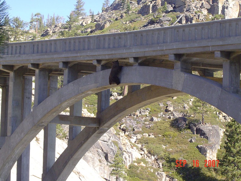 ATT00027.jpg
