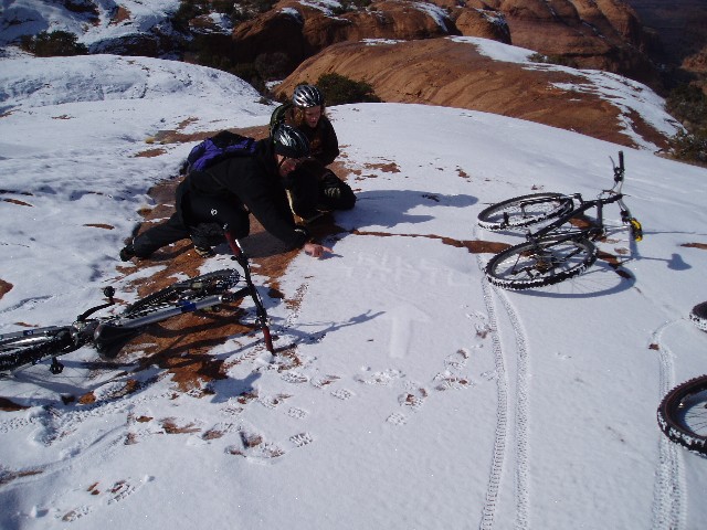 Copy of 020208moab 053.jpg