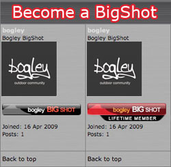 Bogley BigShots